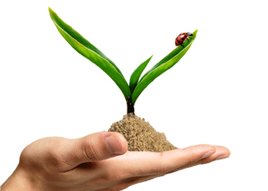 土壤--人类赖以生存的根基